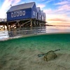 Image 1: 2 Hour Scenic Busselton Jetty Sunset Cruise Swim or Relax