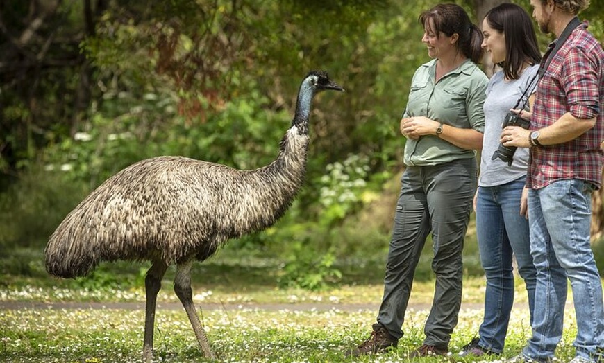 Image 4: 3-Day Adelaide to Melbourne Small-Group Grampian Great Ocean Road
