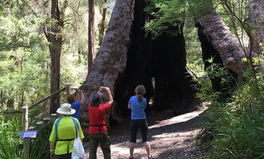 Image 2: Southern Experience 3 Day Tour