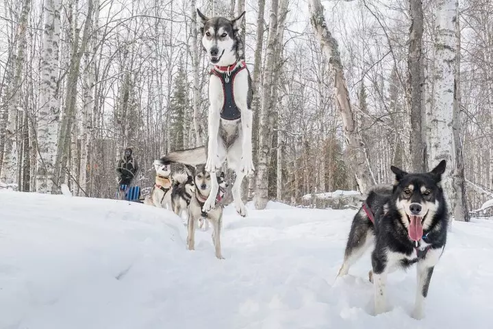 Signature Ridge Top Mush