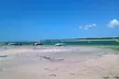 Clearwater 5-Hour Private Boat Charter – Dolphins & Island Hops - Second Medium