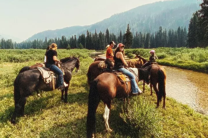 Guided Horseback Trail Rides - Primary Image