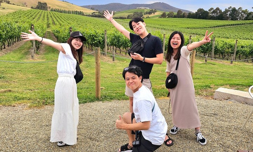 Image 4: Small Group Yarra Valley: Redwoods Forest & Premium Wine Tour