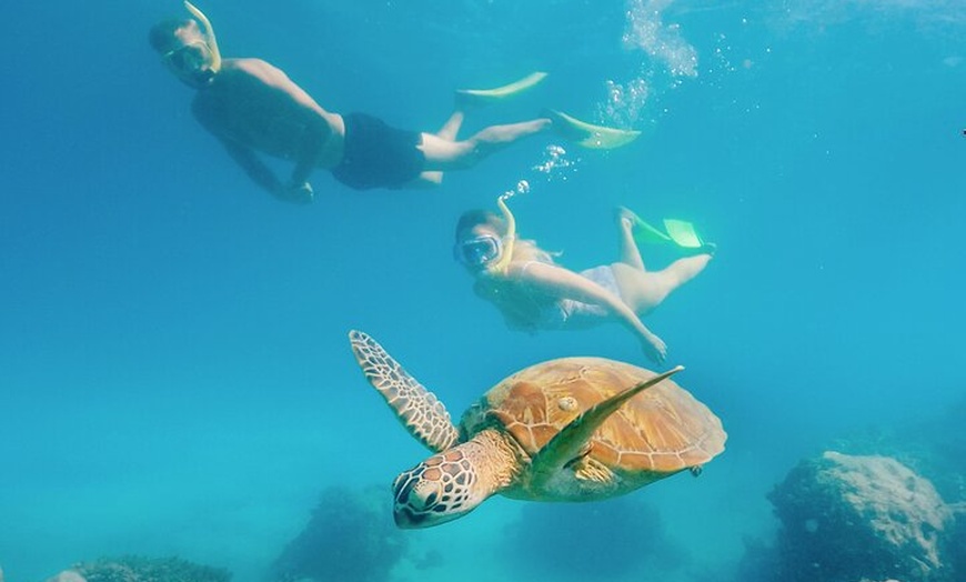 Image 4: Snorkelling or Glass Bottom Boat at Green Island from Cairns