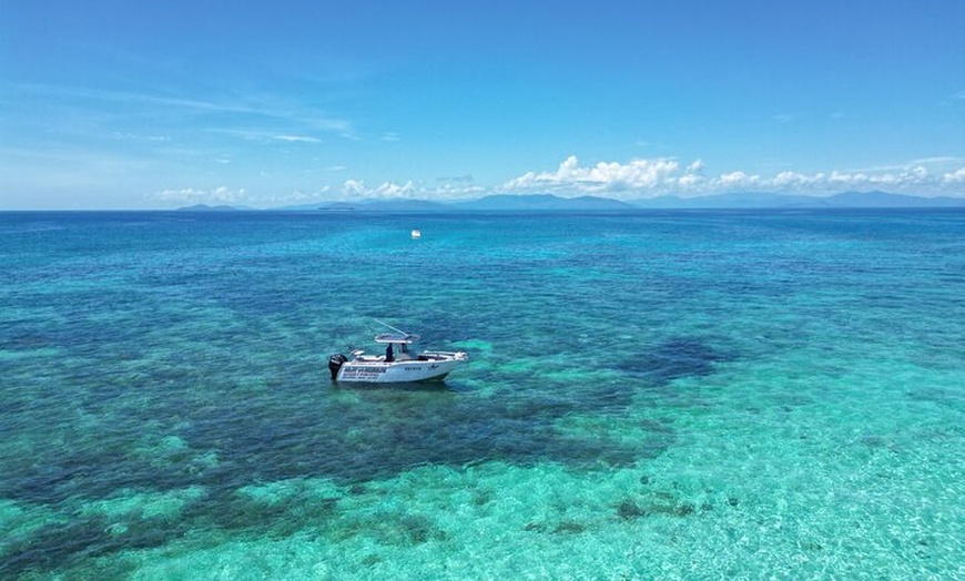 Image 4: Out n About Sportfishing for Share and Private Charters on Reef and...