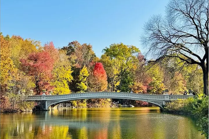 Central Park Pedicab Guided Tours