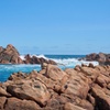 Image 3: Margaret River One-Day Tour: Wine, Jetty Train & Canal Rocks