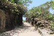 Full-Day West Puerto Rico Tour with Transport - Second Medium