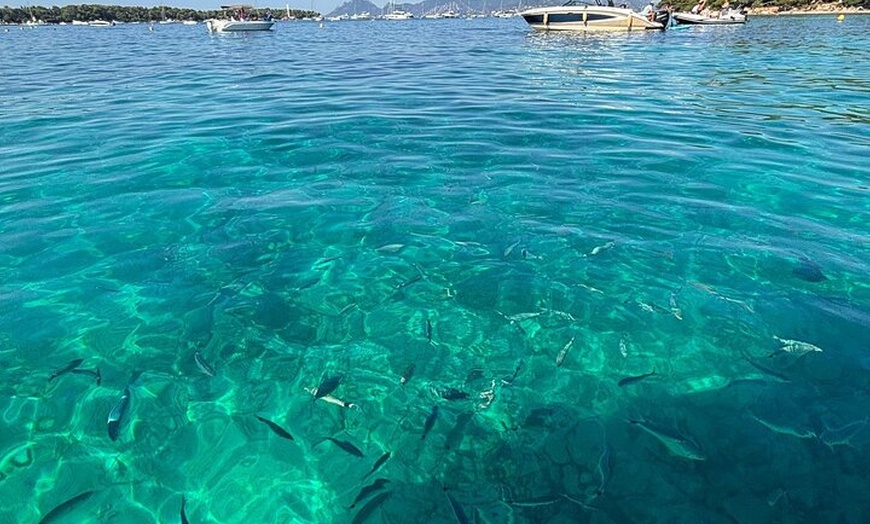 Image 8: Évadez-vous de Cannes un voyage serein aux îles de Lérins