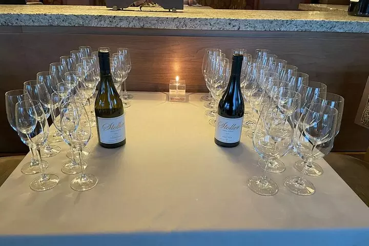 San Francisco Wine Country Tour in EV VW Van