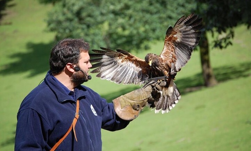Image 8: Private Natur- und Landwirtschaftstour Altes Land ab Hamburg