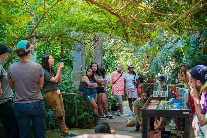 Texas Discovery Gardens General Admission