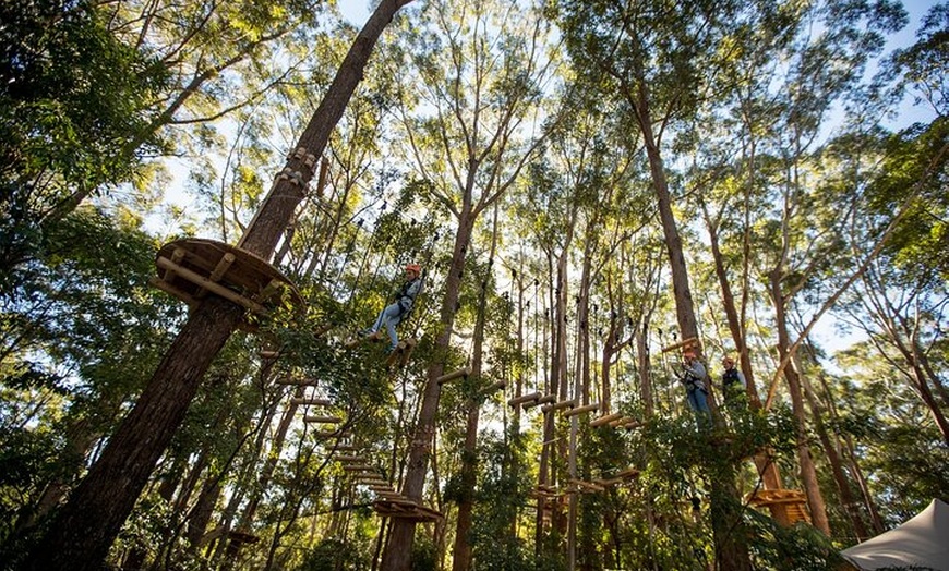 Image 6: Treetops Adventure Coffs Harbour Tree Ropes Course
