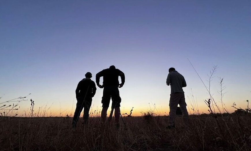 Image 7: Experiencia Guiada en Doñana en 5 Sentidos