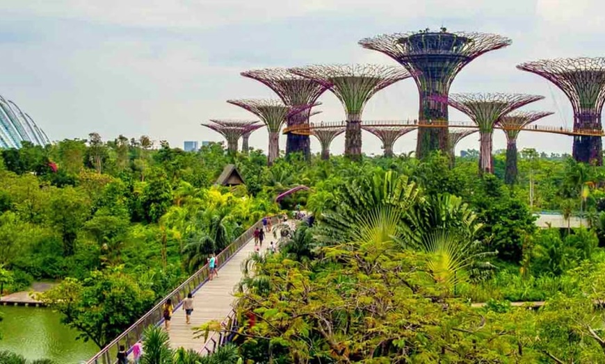 Image 12: ✈ SINGAPORE - Marina Bay Sands 5* - Piscina sul tetto