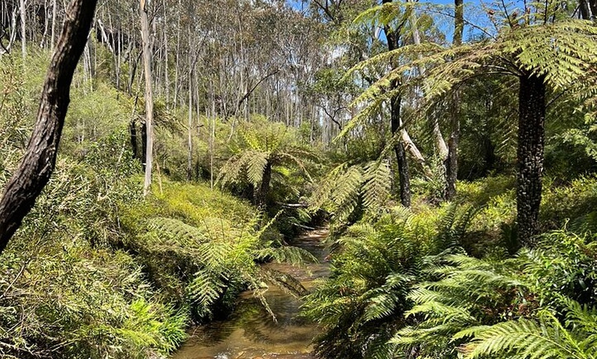 Image 19: Blue Mountains Private Tour & Hidden Gems, Pick up & Drop off