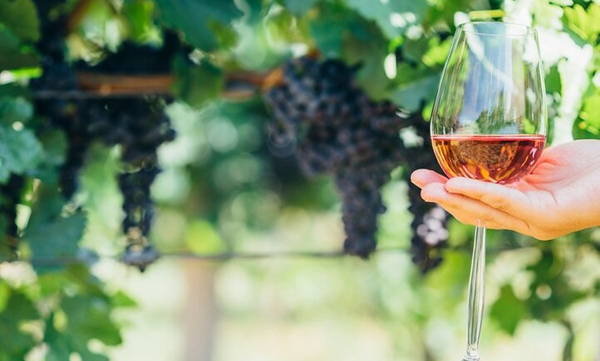 Image 5: Tour de Lujo en Priorat y Cata de Vinos Con Almuerzo