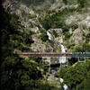 Image 8: Kuranda Tour Express Adventure