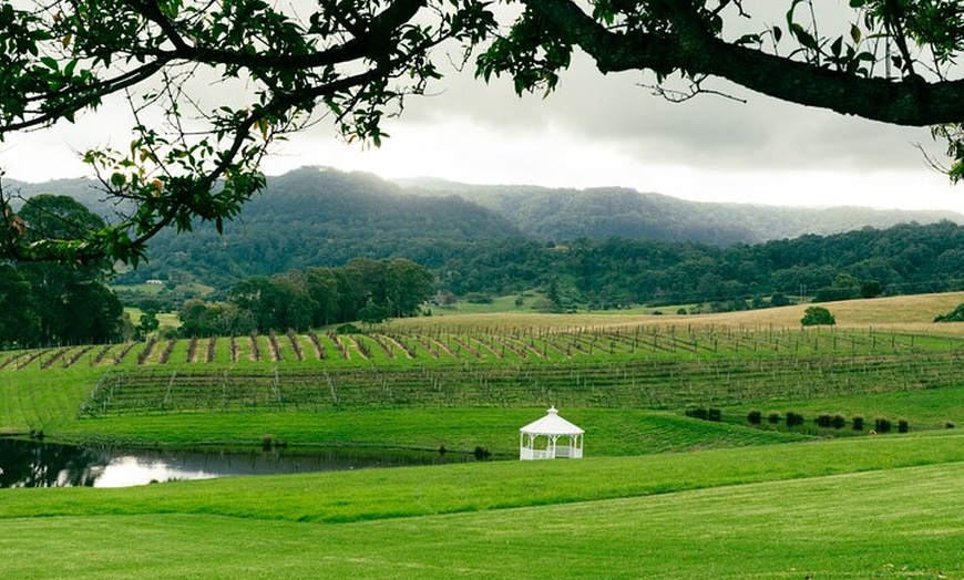 Image 7: Sea Cliff Bridge Tours with Whale Watching and Wine Tasting