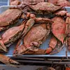 $50 For $100 Toward Blue Crabs
