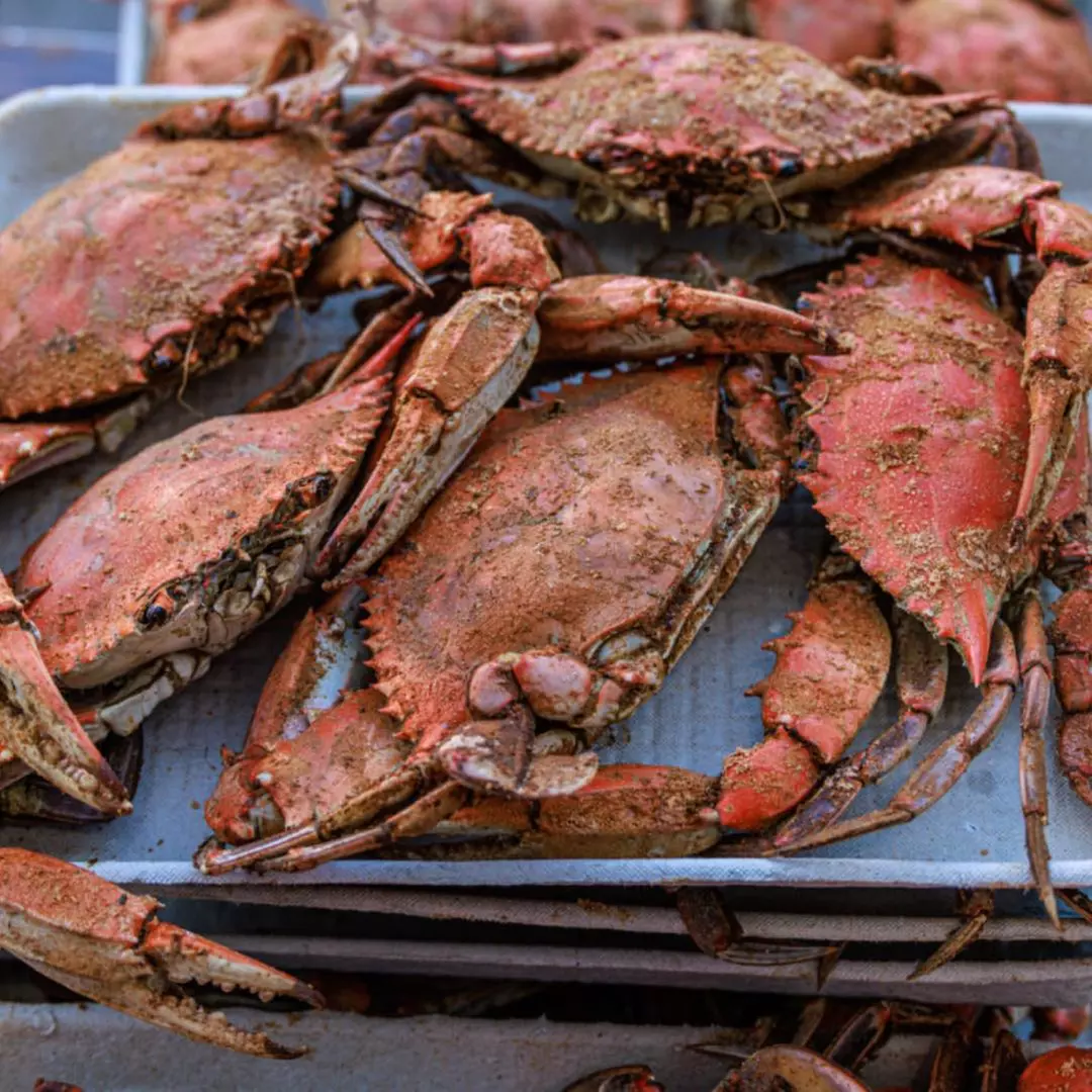 $50 For $100 Toward Blue Crabs - Primary Image