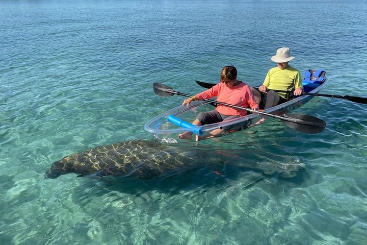 Guided Clear Kayak Eco-Tour of Jupiter