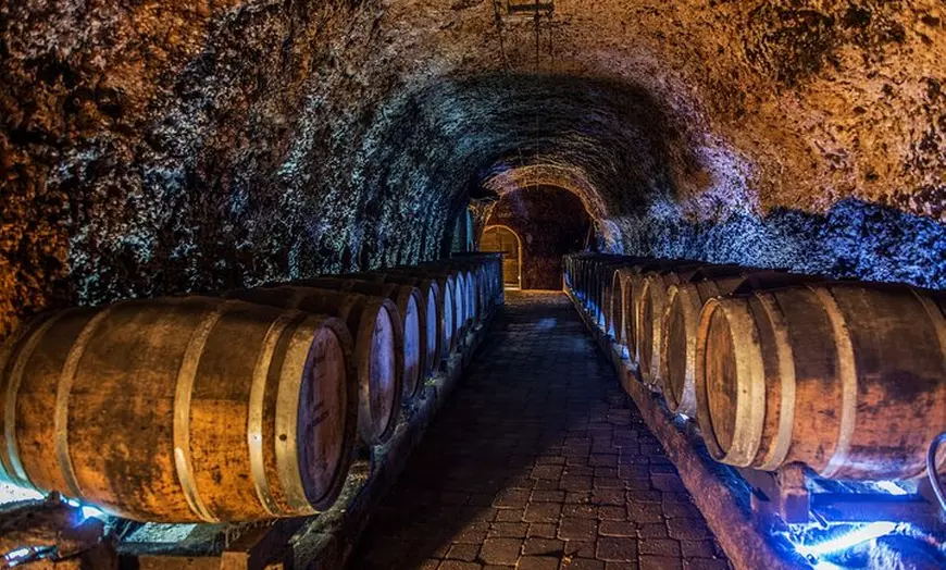 Image 10: La Rioja: Un Viaje a Través de Viñedos y Tradición