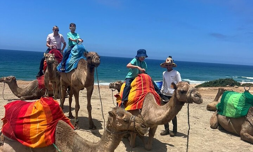 Image 44: Tour guiado privado de lujo de Tánger desde Málaga Todo Incluido