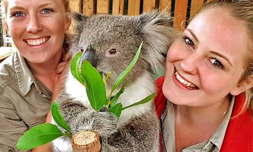 Image 4: Luxury Phillip Island Tour for Families & Explorers [up to 10Pax]