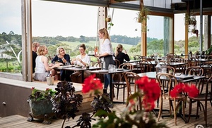 Montalto Vineyard & Olive Grove Montalto Vineyard & Olive Grove