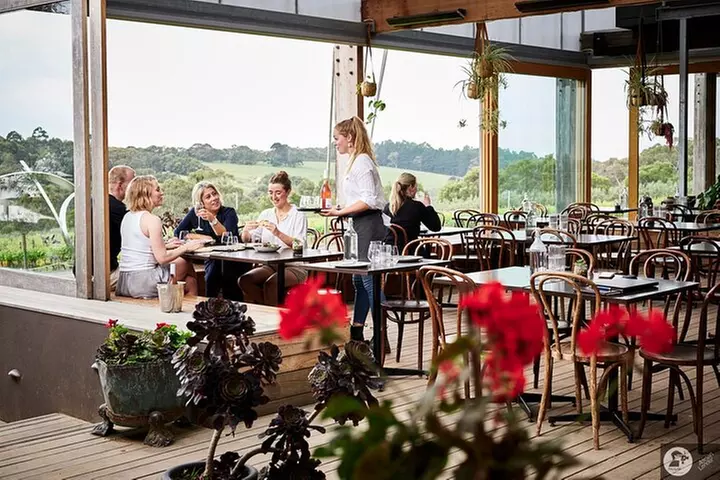 Montalto Vineyard: Mornington Peninsula Discovery Wine Tasting and ...