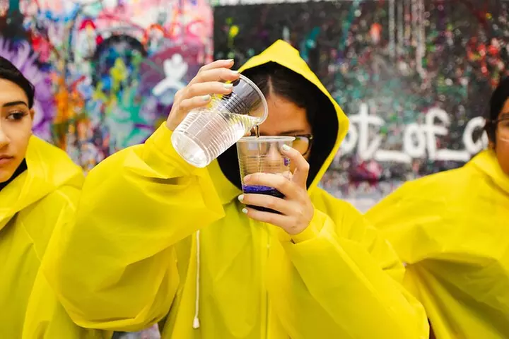 Private Acrylic Painting Class in Chicago