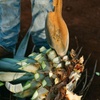 Image 6: From Puebla: Private Tour to Tehuacán Biosphere Reserve + mezcal