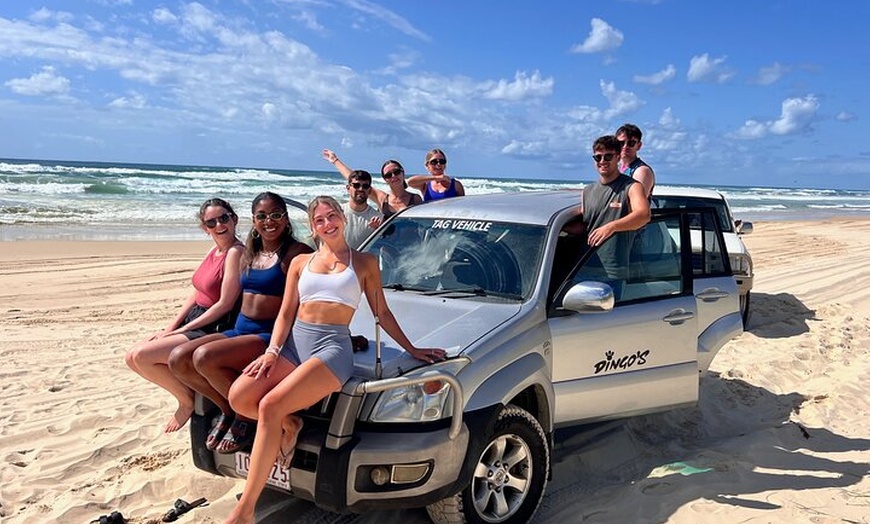 Image 31: Dingos 3 Day K'Gari (Fraser Island) ​4WD Tag-Along Tour