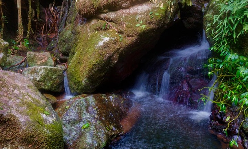 Image 9: Glow Worms - Nocturnal Rainforest/Waterfall Adventure