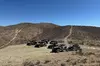 SXS Tour W/ A Stop at Pioneer Saloon Goodsprings in Las Vegas