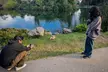 Golden Gate Park Twilight Wildlife Walking Tour - Second Medium
