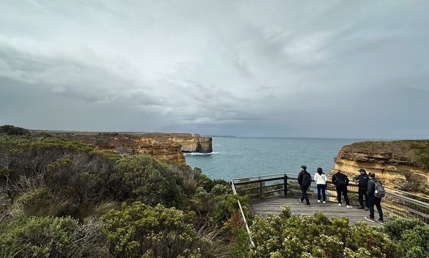Image 13: Great Ocean Road 12 apostles PRIVATE Luxury Tour 5 PAX all incl.