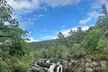 Inverness Forests with Falls and Coast Private Tour - Image 2