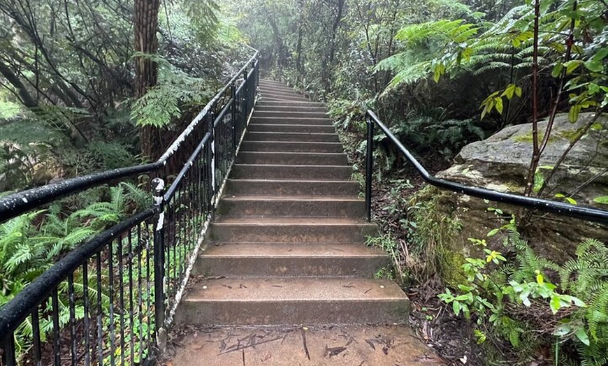 Image 7: Blue Mountains Day Trip + Sydney Zoo +Three Sisters + Waterfalls