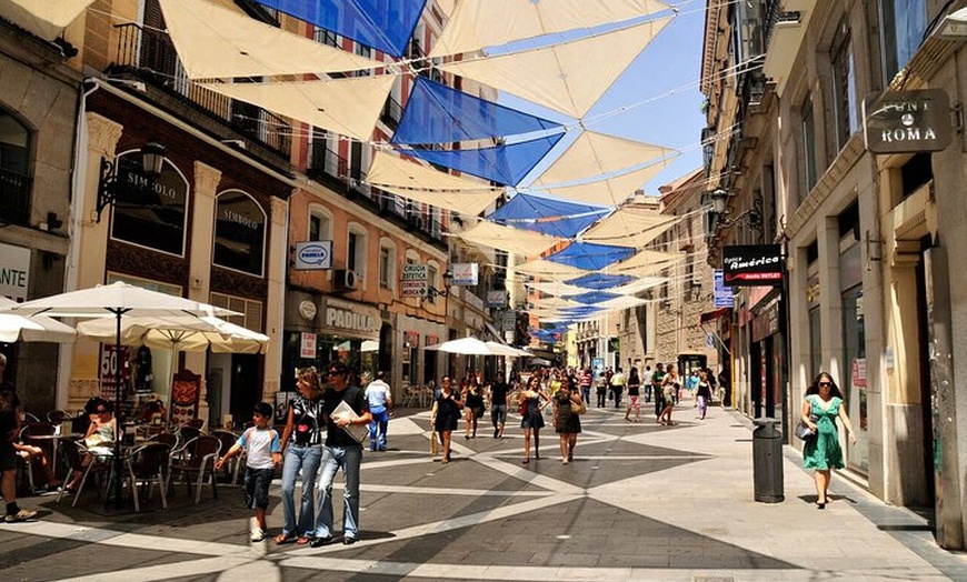 Image 4: Visita guiada privada a pie por Madrid