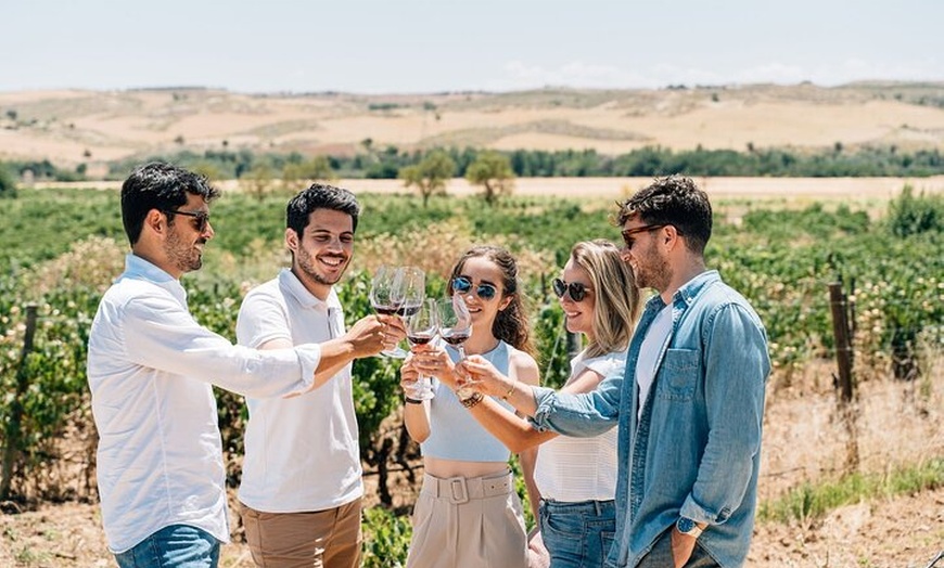 Image 1: Tour por Toledo y paseo por el viñedo con cata de vinos desde Madrid
