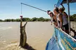 Spectacular Jumping Crocodile Cruise with Darwin Transfer Bus - Image 5