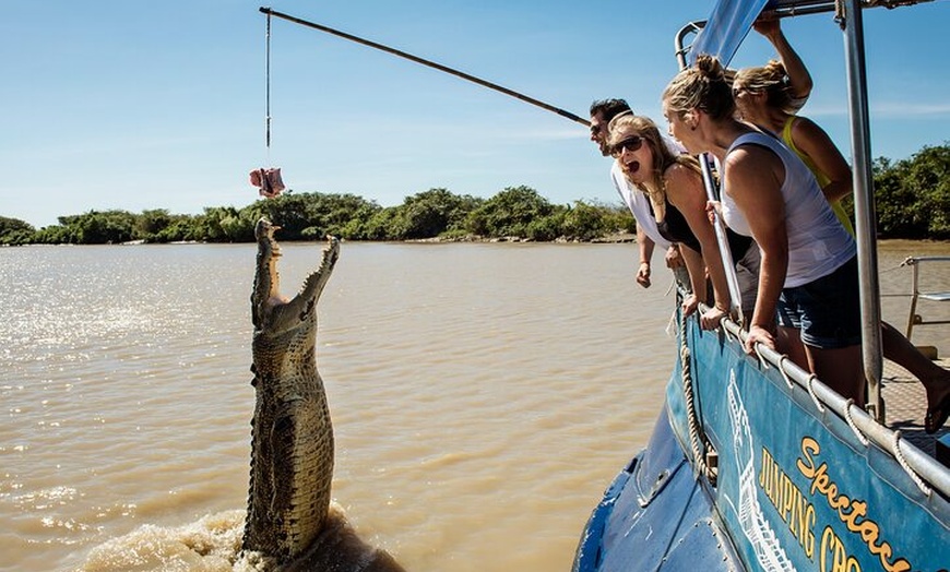 Image 5: Spectacular Jumping Crocodile Cruise with Darwin Transfer Bus