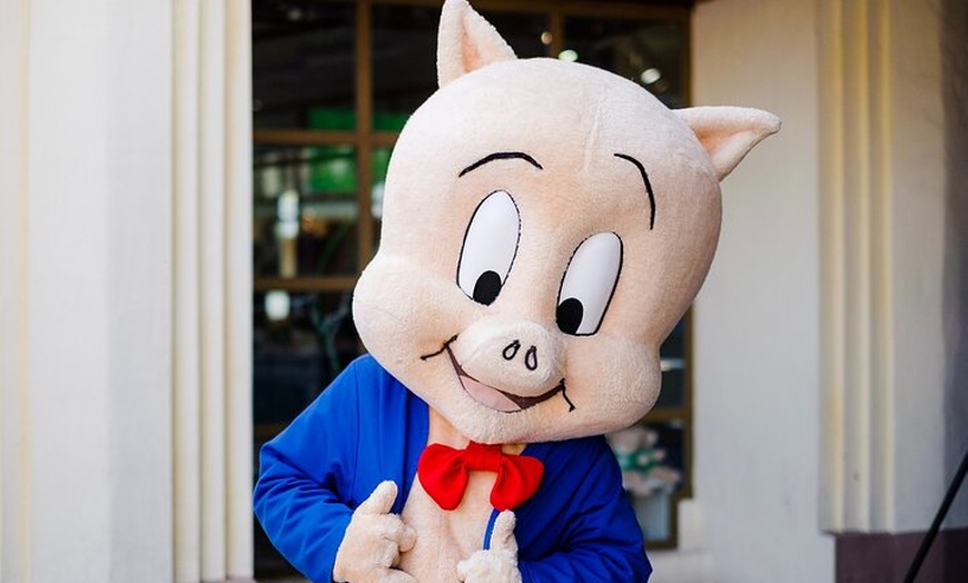 Image 5: Entrada Warner Park Madrid