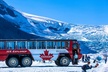 Columbia Icefield Tour with Glacier Skywalk - Second Medium