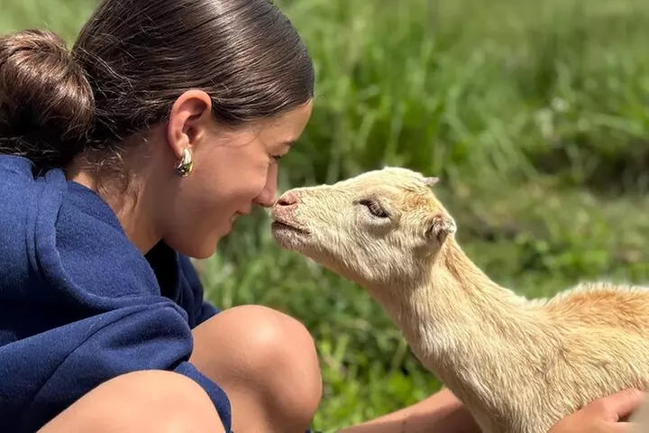 Guided UTV Ride-Along Tour on the Big Island - Second Medium