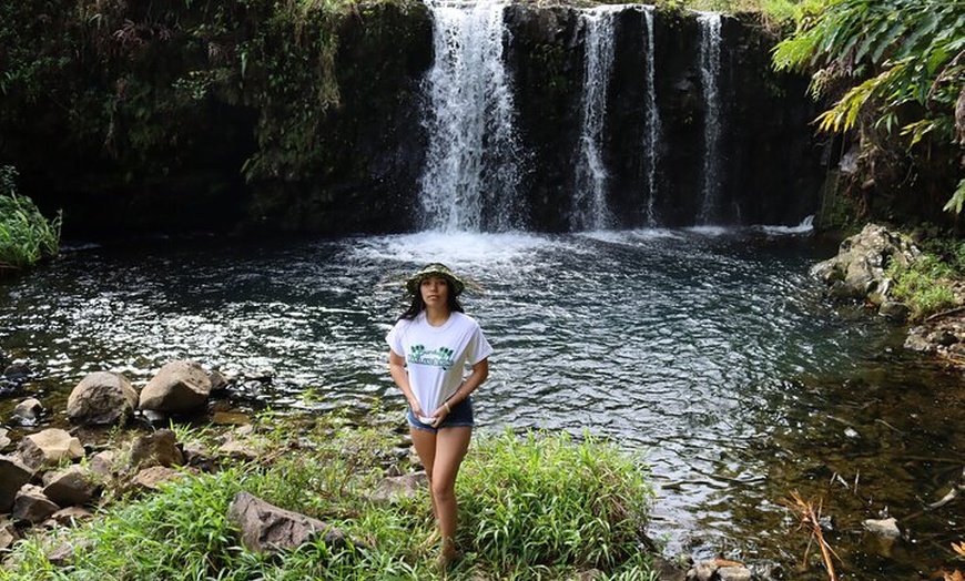 Image 5: Halfway to Hana Sightseeing Adventure