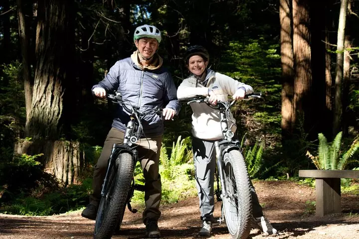 4 Hour Redwood National and State Park E Bike Adventure