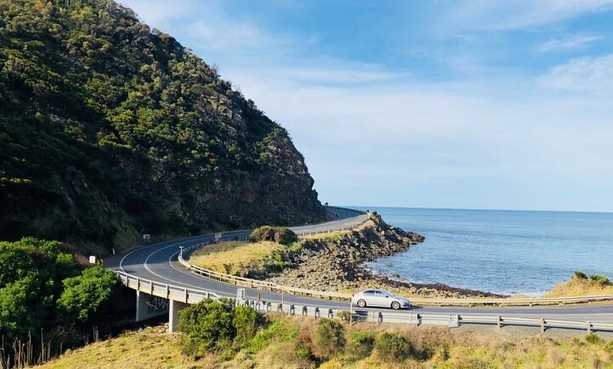 Image 6: Melbourne: Great Ocean Road Tour with Maxi Highlights in One Day